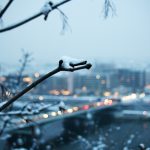 Eisch bereikt wintertemperatuur: -5°C