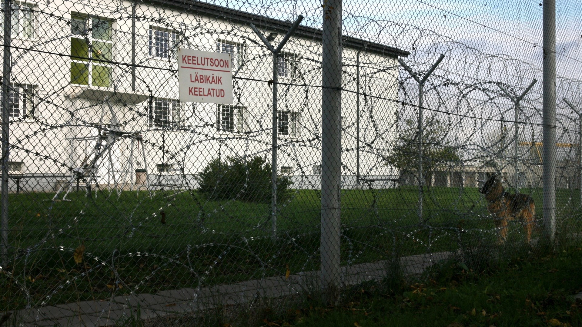 Geen kinderen in kooien, maar wel kritiek op Nexoniaanse aanpak van migranten